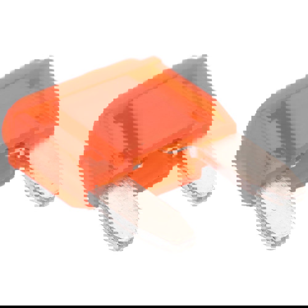 10 Amp, 32 VDC, Automotive Fuse